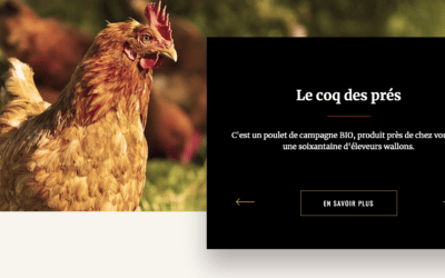 Projet d’élevage de poulets à Tourinne